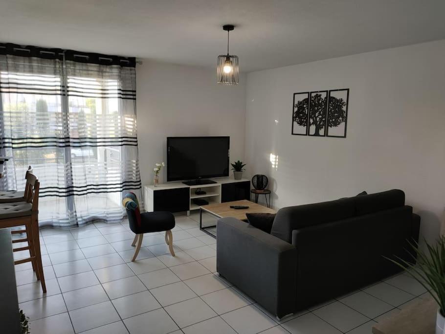 Spacieux Et Joli Appartement De 2 A 4 Personnes • Parking • Wifi Fenouillet  Luaran gambar