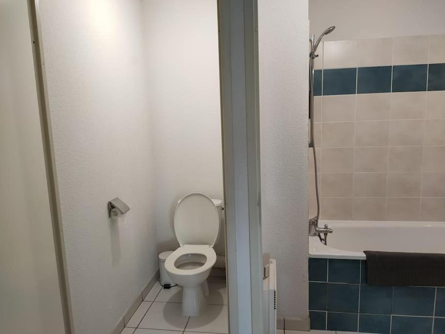 Spacieux Et Joli Appartement De 2 A 4 Personnes • Parking • Wifi Fenouillet  Luaran gambar