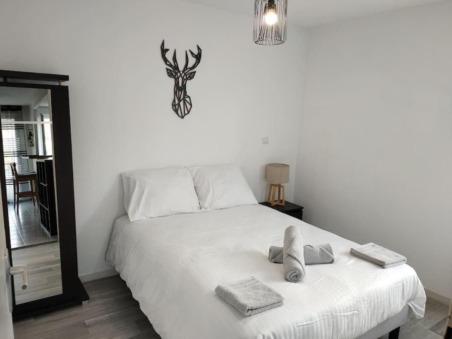 Spacieux Et Joli Appartement De 2 A 4 Personnes • Parking • Wifi Fenouillet  Luaran gambar