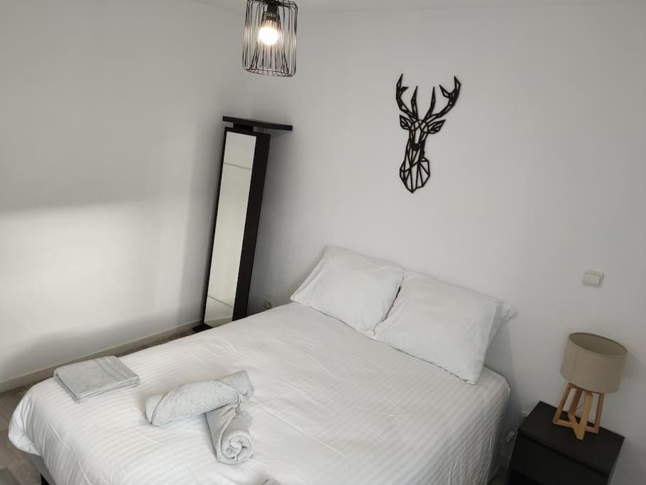 Spacieux Et Joli Appartement De 2 A 4 Personnes • Parking • Wifi Fenouillet  Luaran gambar